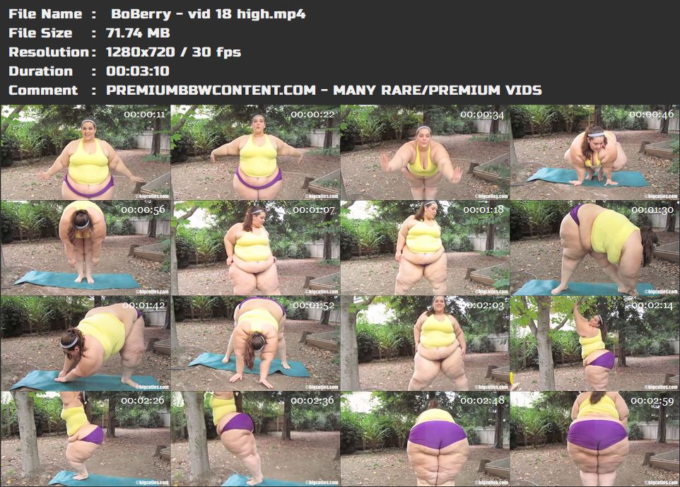  BoBerry - vid 18 high thumbnails
