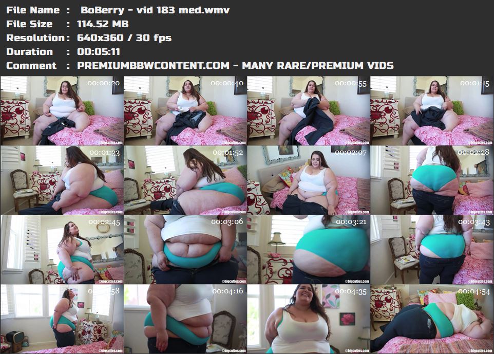  BoBerry - vid 183 med thumbnails