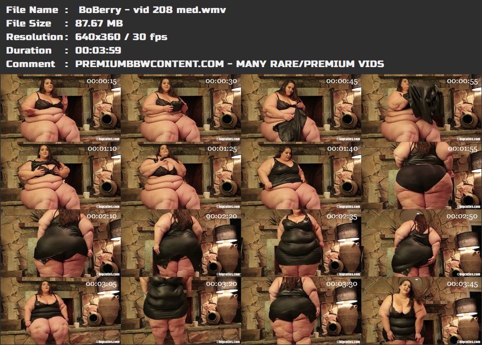  BoBerry - vid 208 med thumbnails