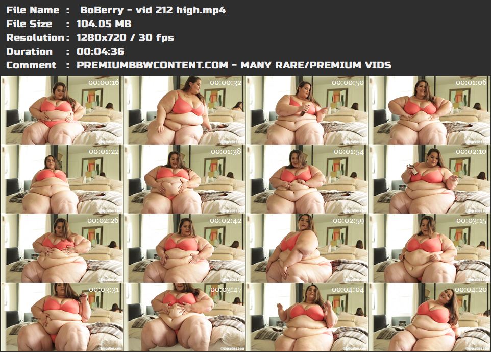  BoBerry - vid 212 high thumbnails