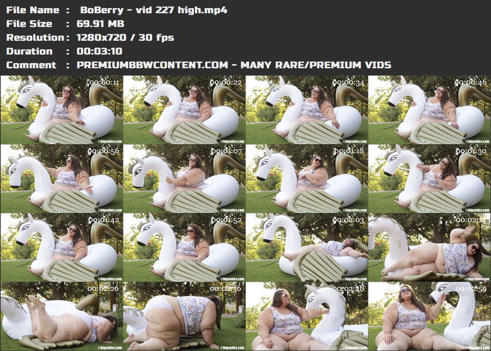  BoBerry - vid 227 high thumbnails
