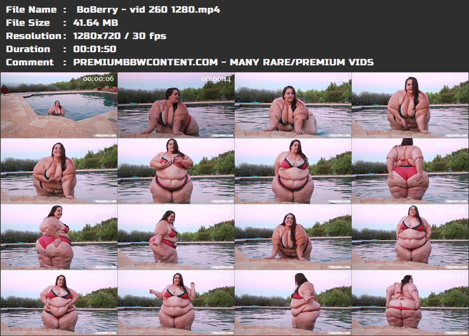  BoBerry - vid 260 1280 thumbnails