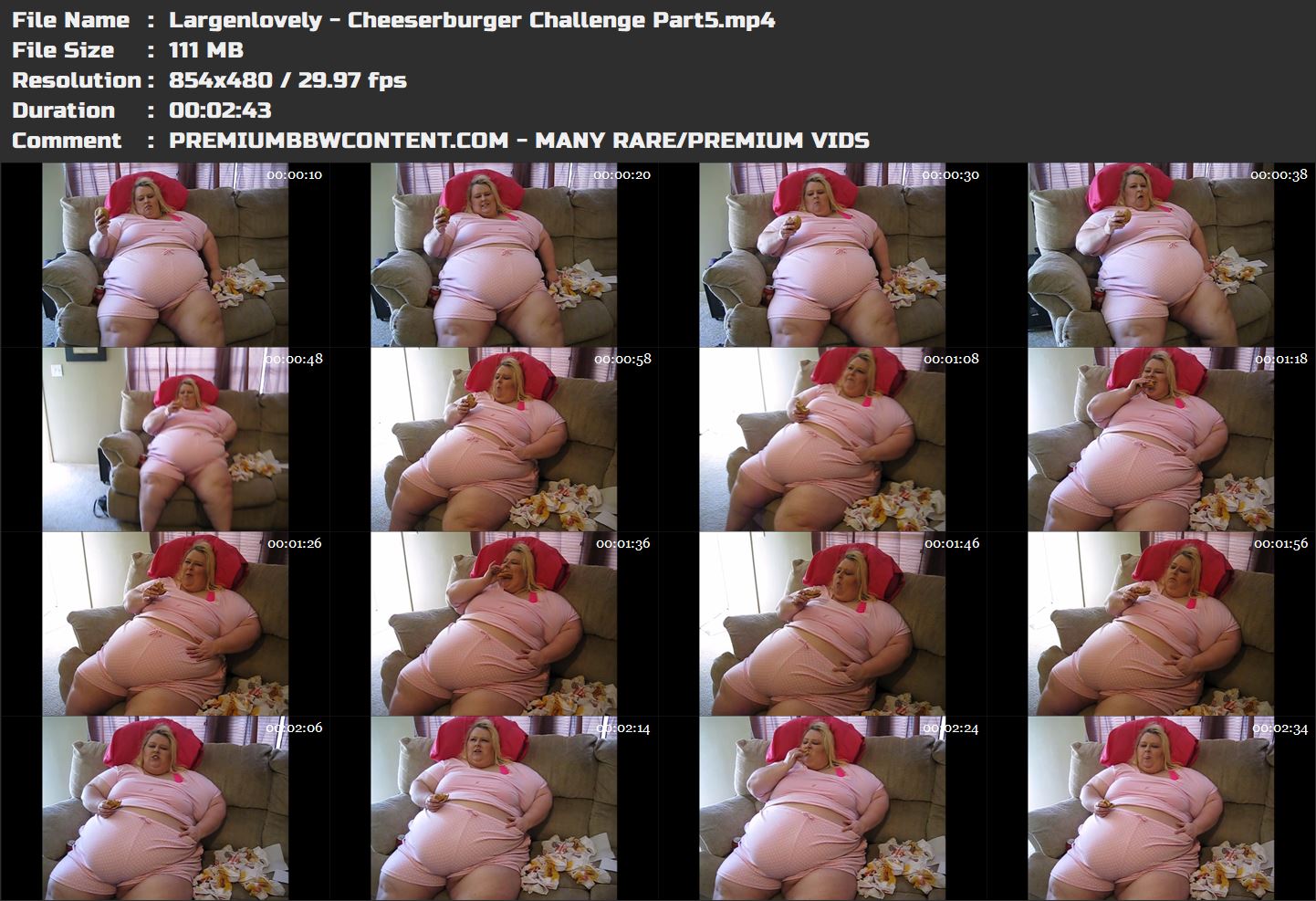 Largenlovely - Cheeserburger Challenge Part5 thumbnails